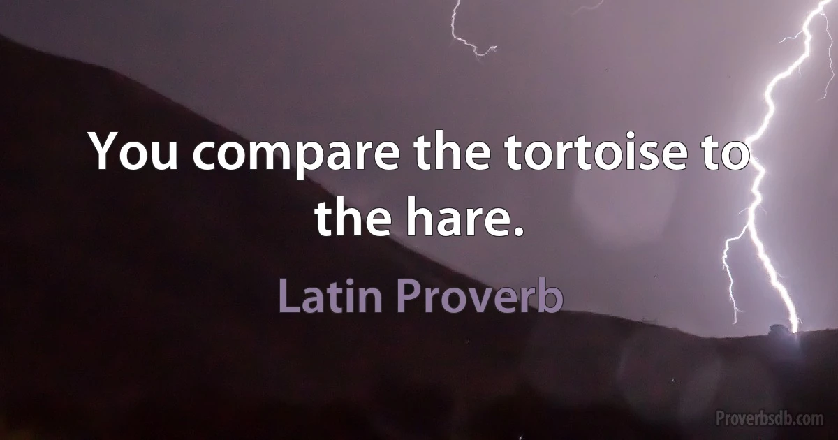 You compare the tortoise to the hare. (Latin Proverb)