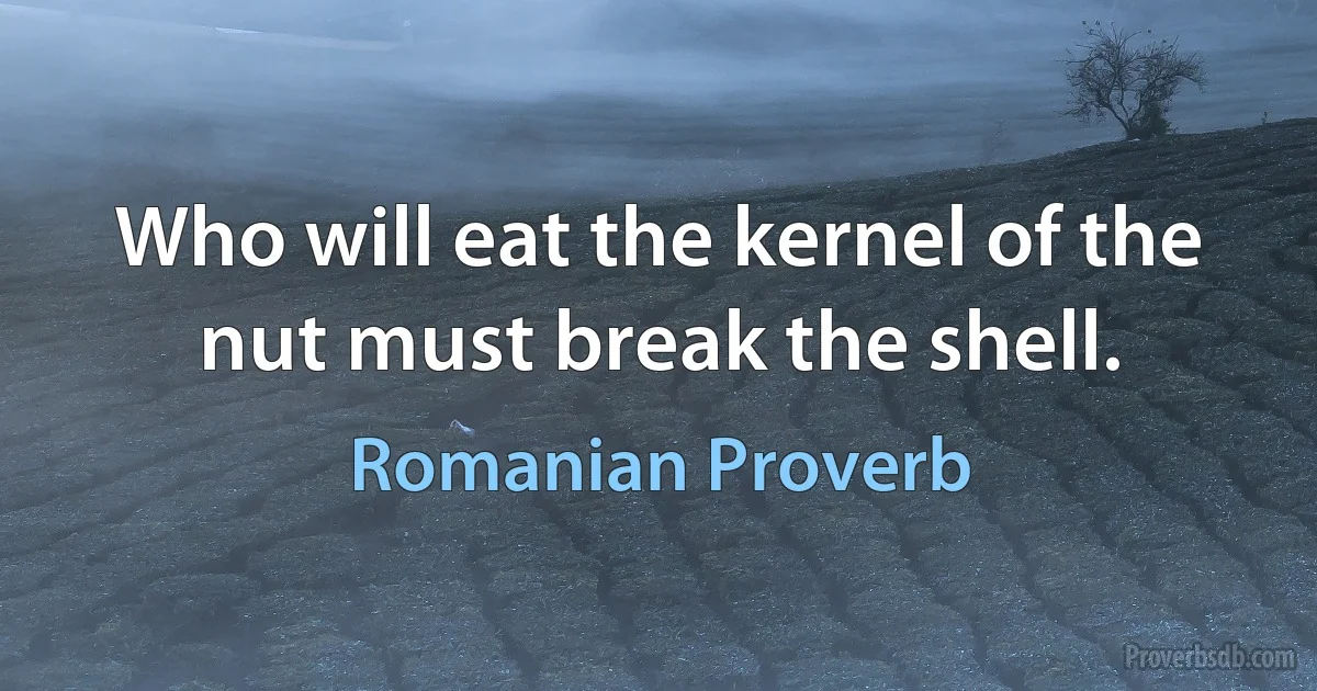 Who will eat the kernel of the nut must break the shell. (Romanian Proverb)