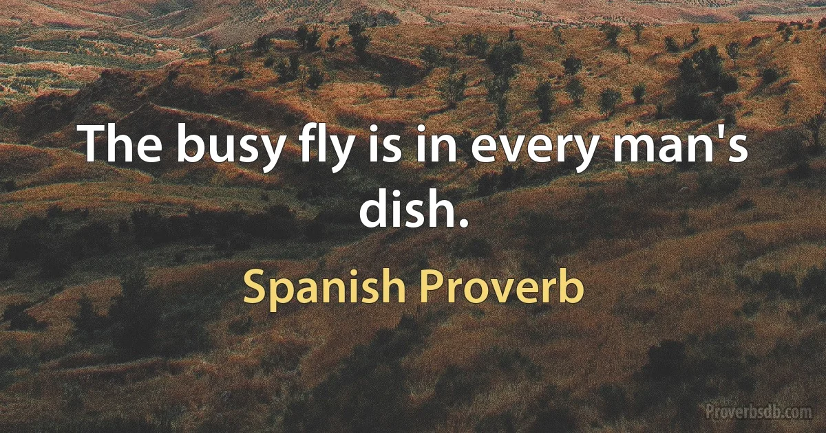 The busy fly is in every man's dish. (Spanish Proverb)