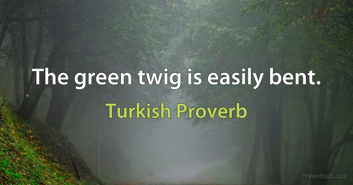 The green twig is easily bent. (Turkish Proverb)