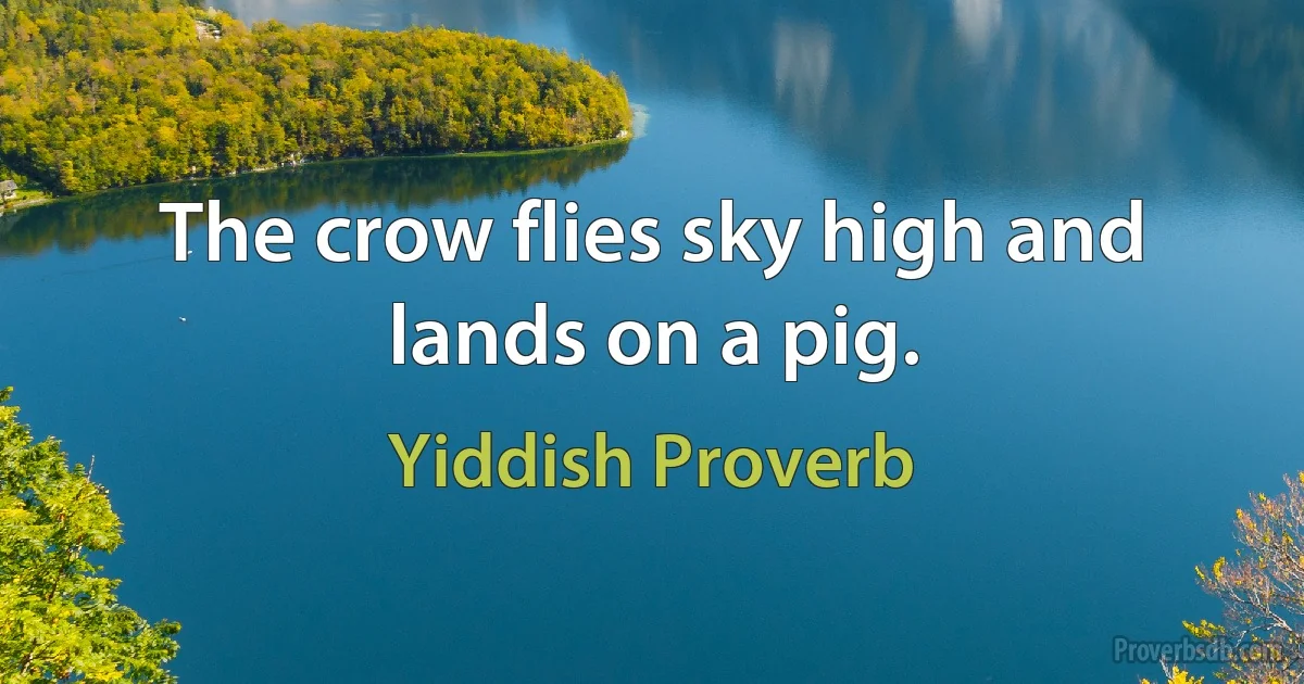 The crow flies sky high and lands on a pig. (Yiddish Proverb)