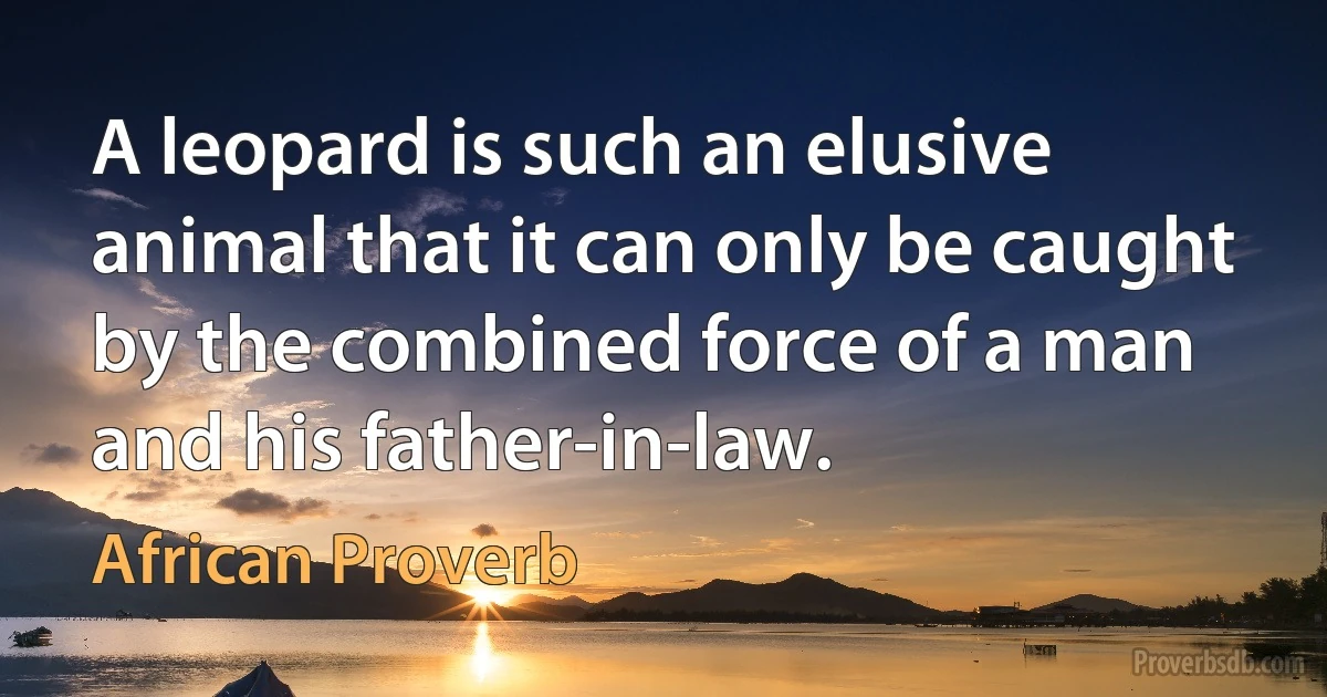 A leopard is such an elusive animal that it can only be caught by the combined force of a man and his father-in-law. (African Proverb)