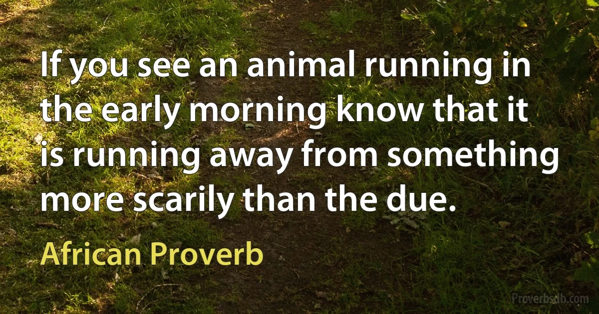 If you see an animal running in the early morning know that it is running away from something more scarily than the due. (African Proverb)