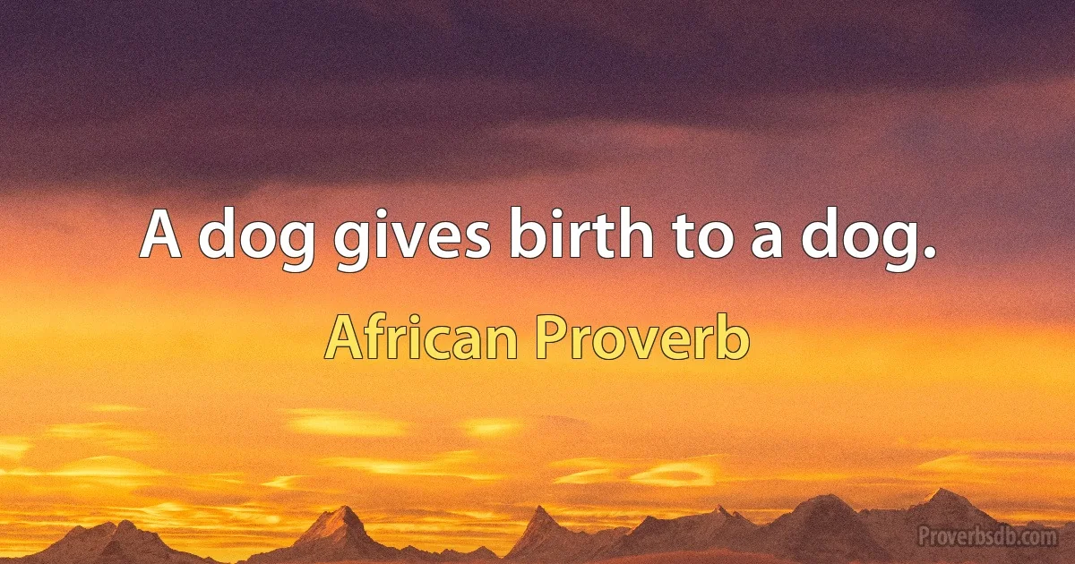 A dog gives birth to a dog. (African Proverb)