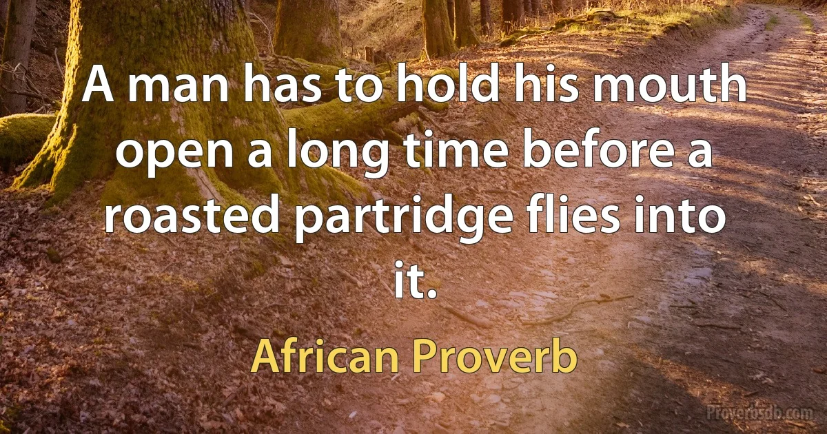 A man has to hold his mouth open a long time before a roasted partridge flies into it. (African Proverb)