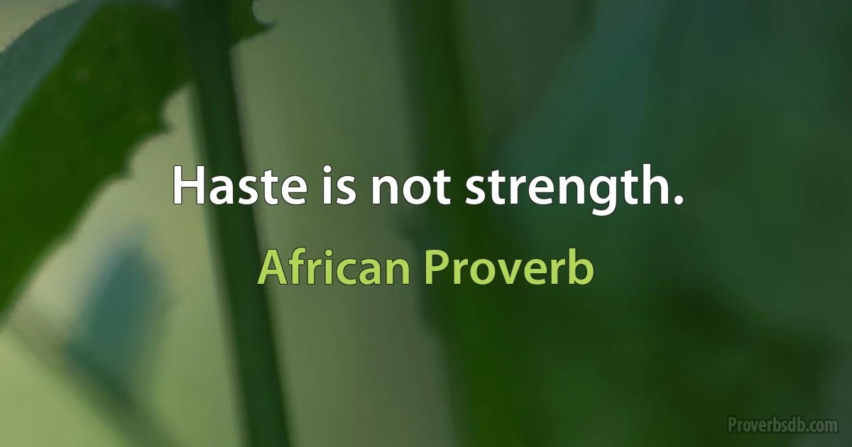 Haste is not strength. (African Proverb)