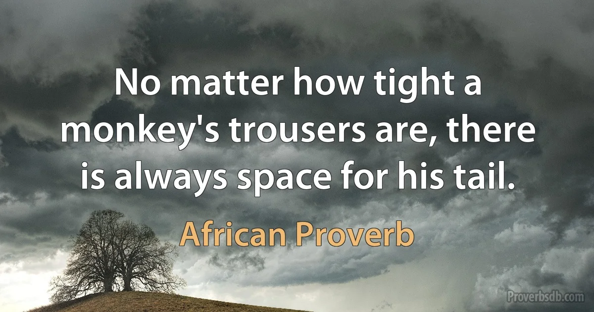 No matter how tight a monkey's trousers are, there is always space for his tail. (African Proverb)