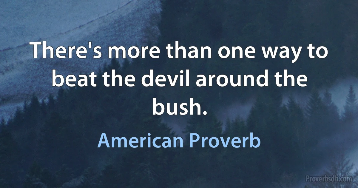 There's more than one way to beat the devil around the bush. (American Proverb)