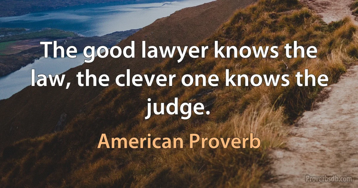 The good lawyer knows the law, the clever one knows the judge. (American Proverb)