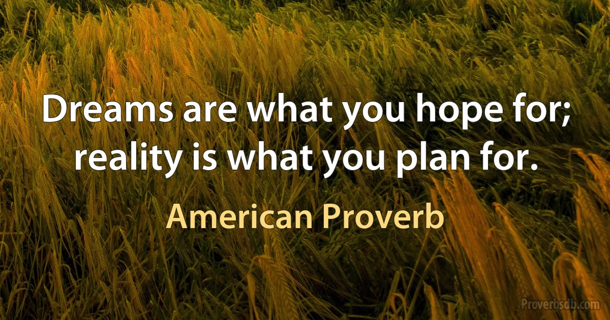 Dreams are what you hope for; reality is what you plan for. (American Proverb)