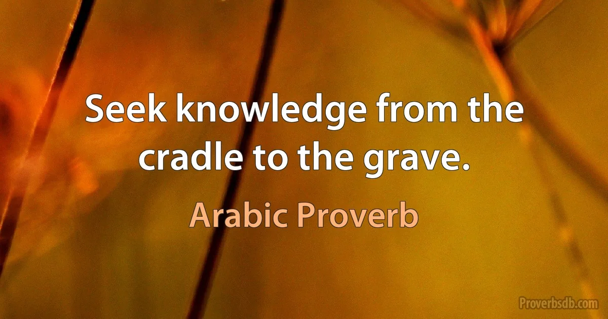 Seek knowledge from the cradle to the grave. (Arabic Proverb)