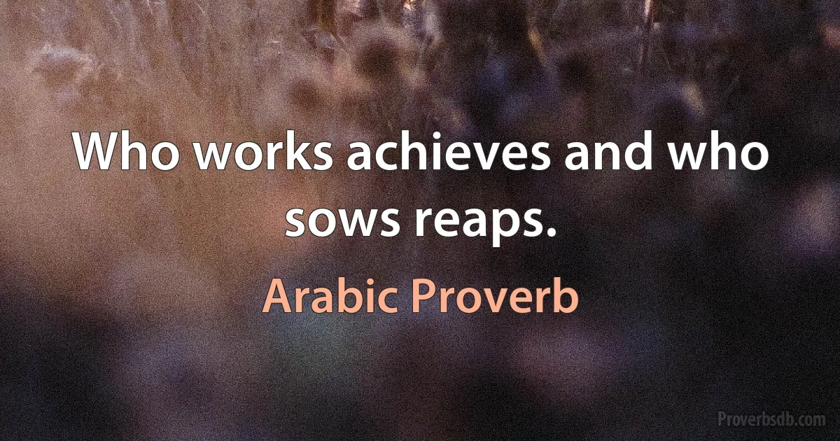 Who works achieves and who sows reaps. (Arabic Proverb)