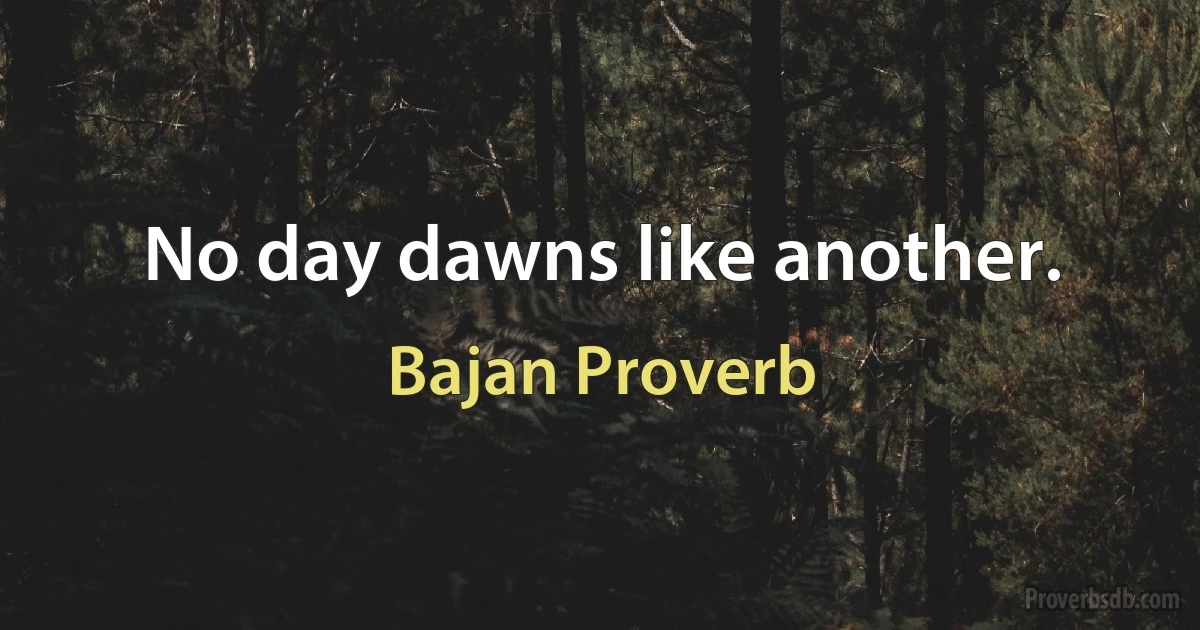 No day dawns like another. (Bajan Proverb)