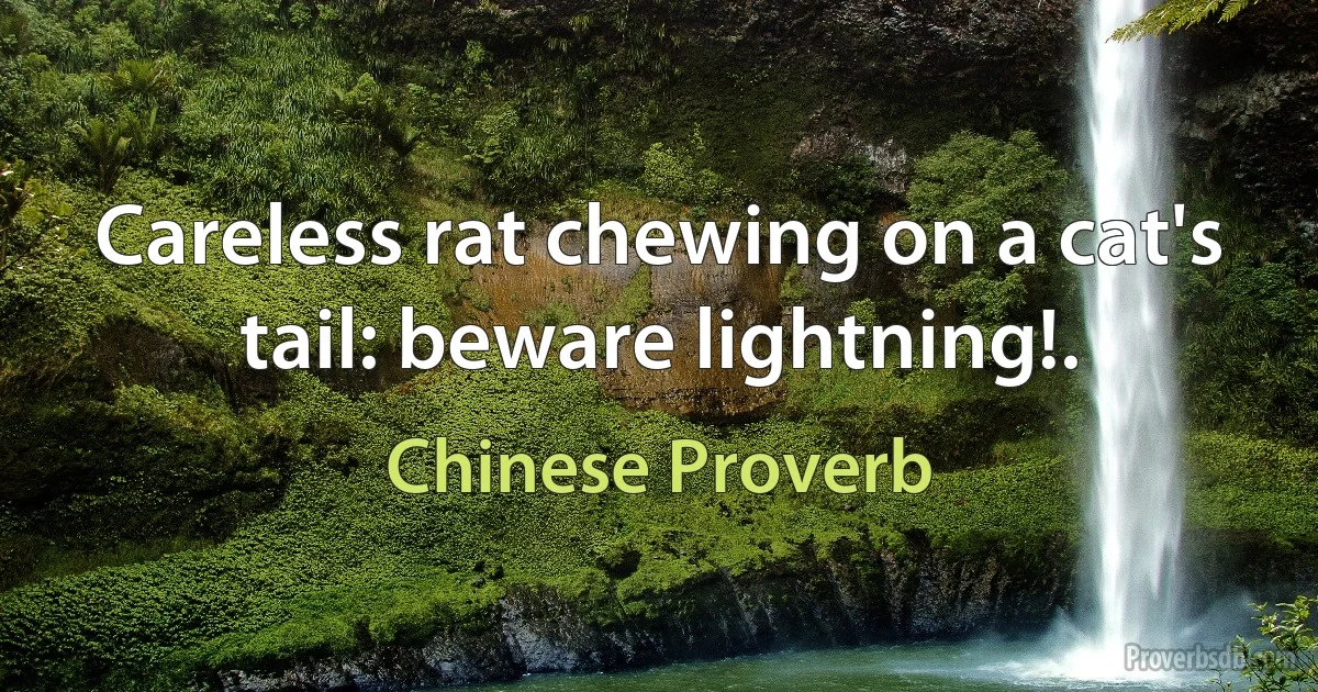 Careless rat chewing on a cat's tail: beware lightning!. (Chinese Proverb)