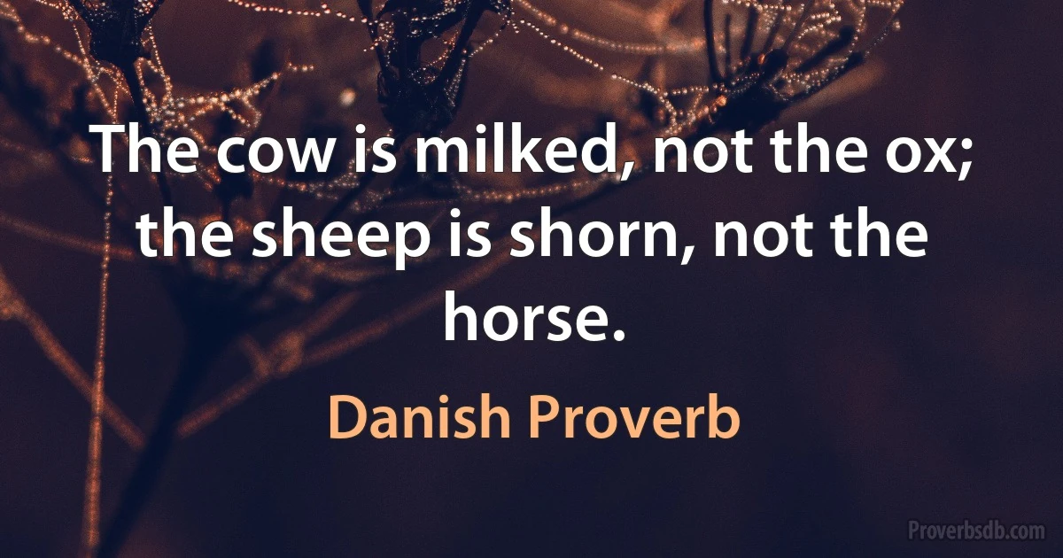 The cow is milked, not the ox; the sheep is shorn, not the horse. (Danish Proverb)