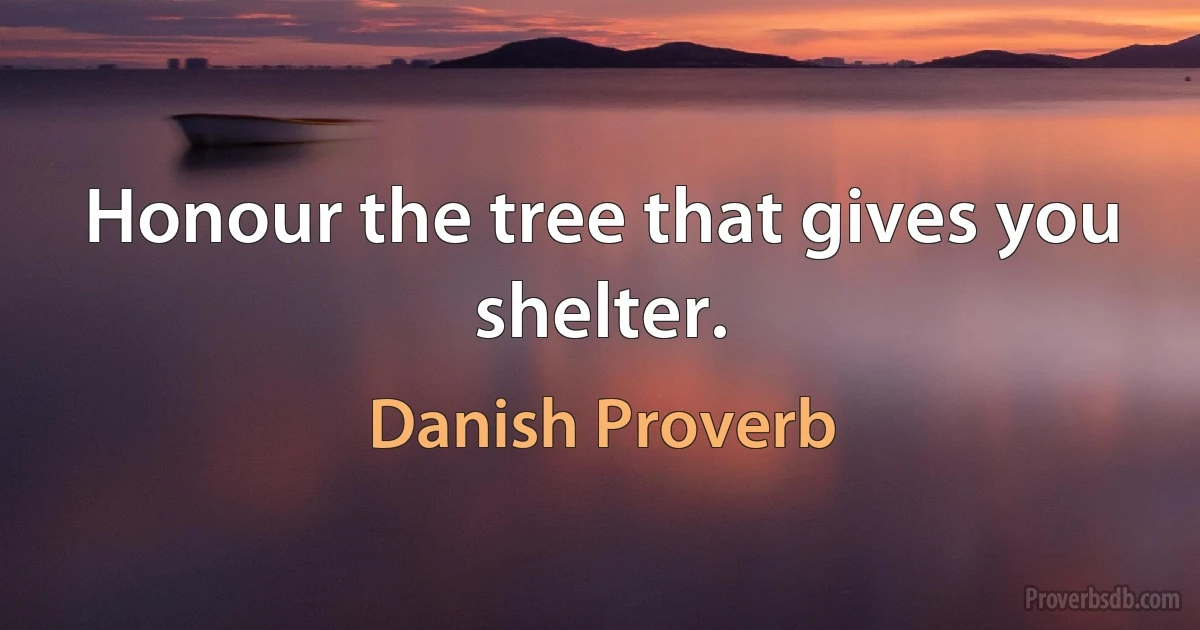 Honour the tree that gives you shelter. (Danish Proverb)