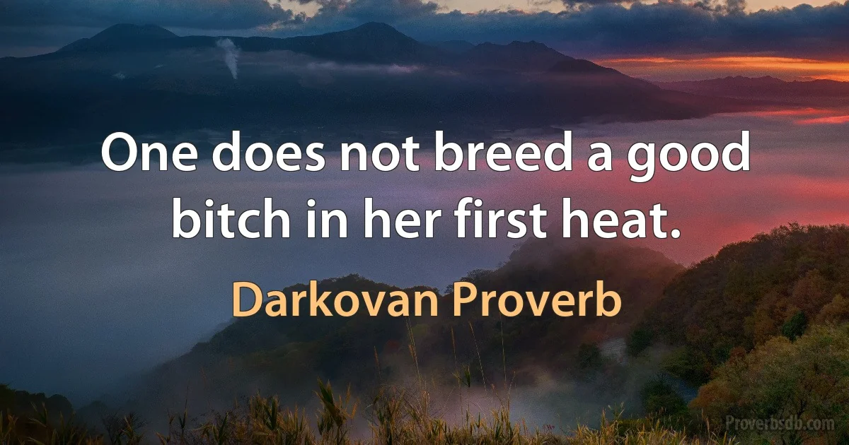 One does not breed a good bitch in her first heat. (Darkovan Proverb)