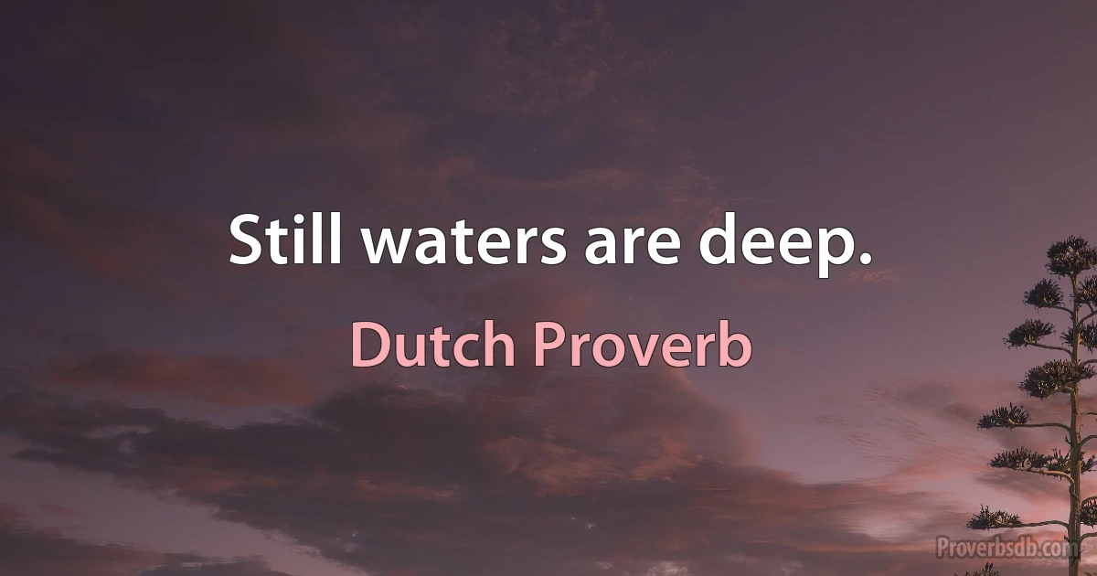 Still waters are deep. (Dutch Proverb)