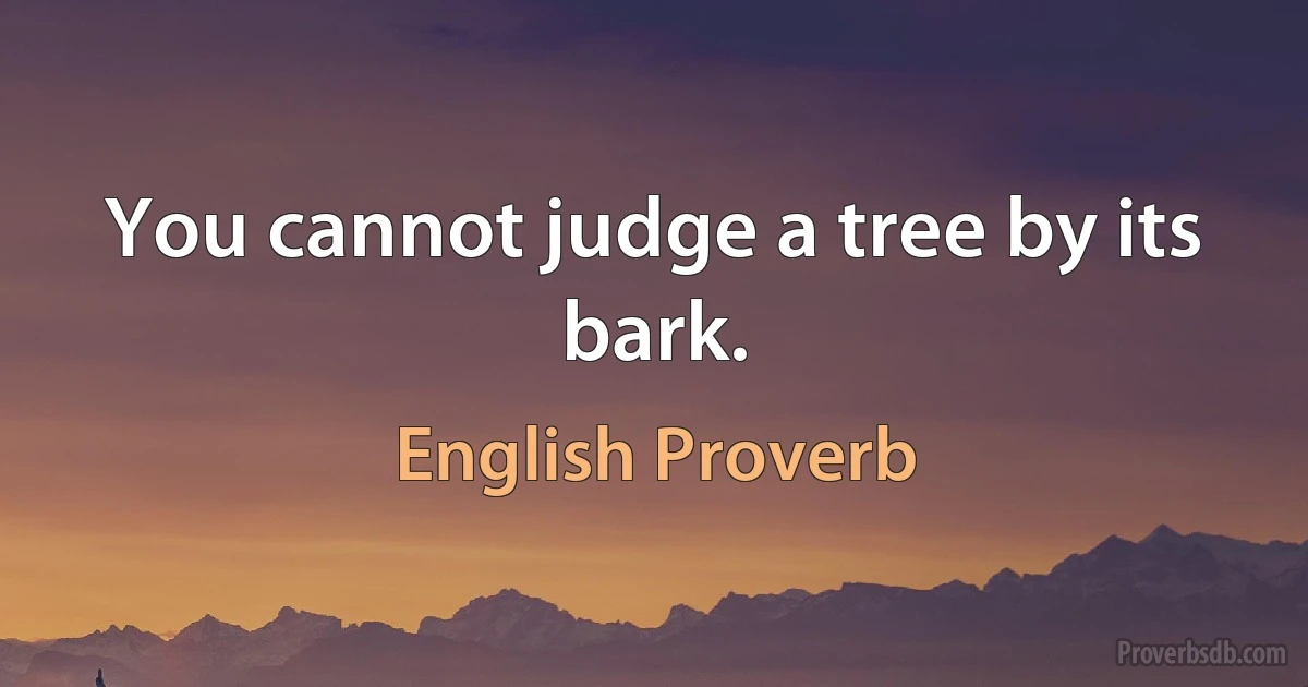 You cannot judge a tree by its bark. (English Proverb)