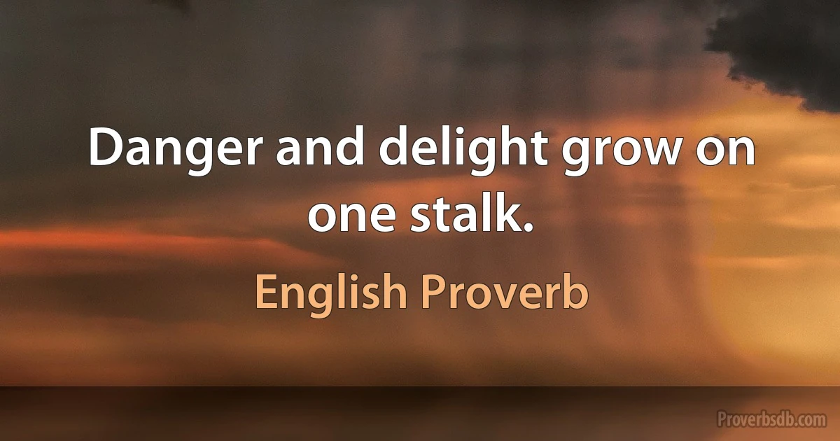 Danger and delight grow on one stalk. (English Proverb)