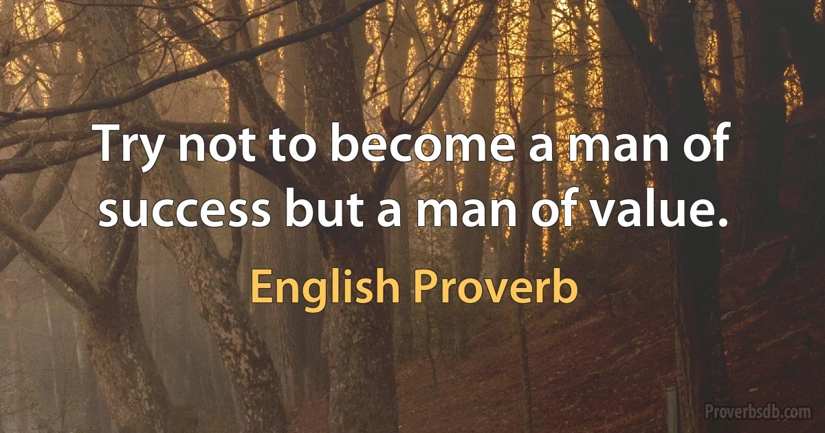 Try not to become a man of success but a man of value. (English Proverb)