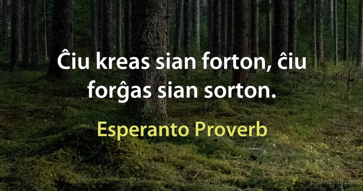 Ĉiu kreas sian forton, ĉiu forĝas sian sorton. (Esperanto Proverb)