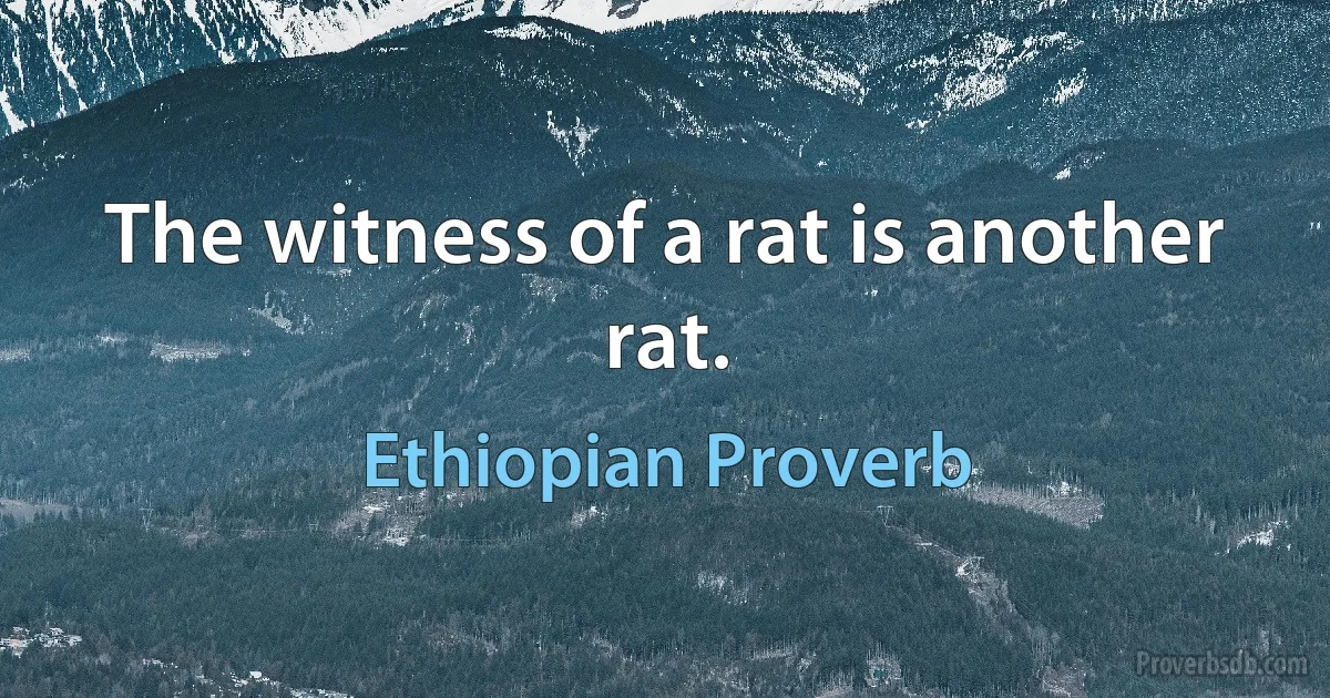 The witness of a rat is another rat. (Ethiopian Proverb)