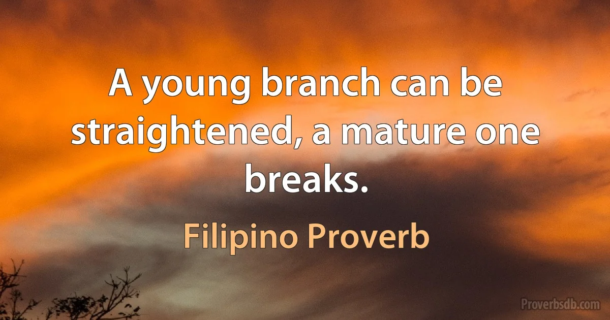 A young branch can be straightened, a mature one breaks. (Filipino Proverb)