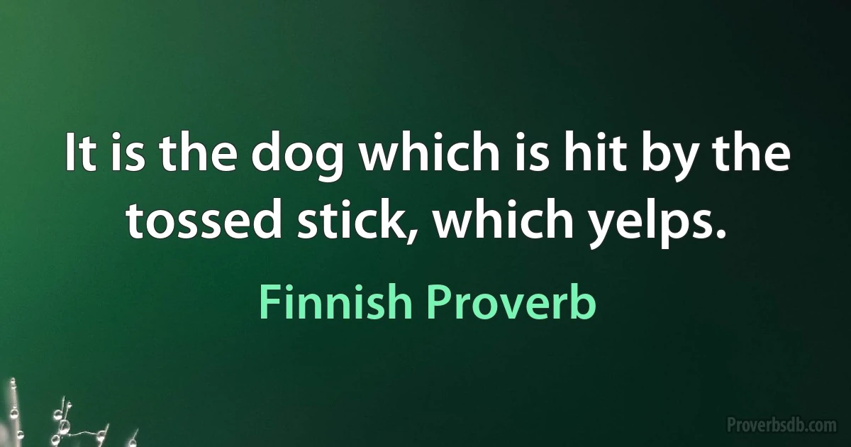 It is the dog which is hit by the tossed stick, which yelps. (Finnish Proverb)