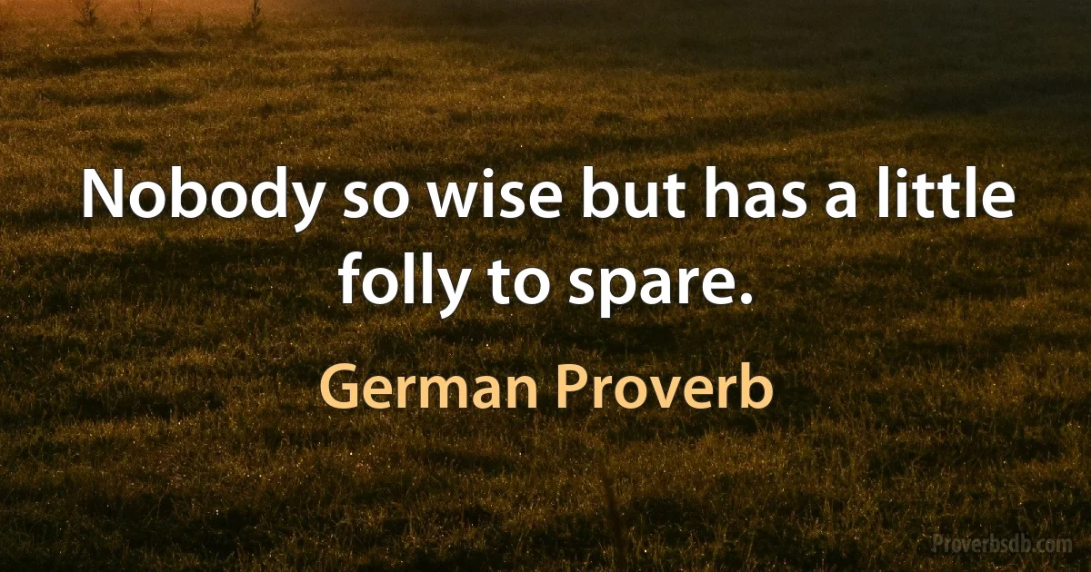 Nobody so wise but has a little folly to spare. (German Proverb)