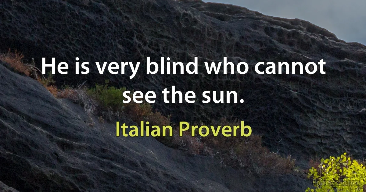 He is very blind who cannot see the sun. (Italian Proverb)