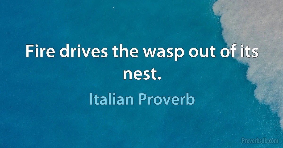 Fire drives the wasp out of its nest. (Italian Proverb)