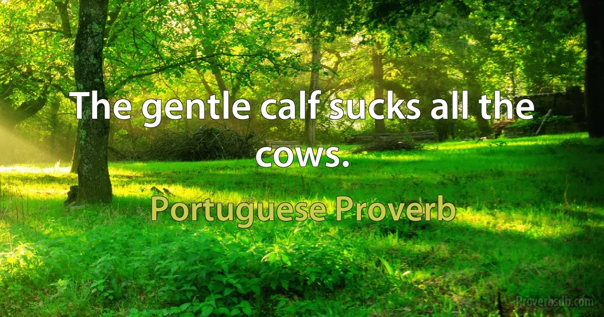 The gentle calf sucks all the cows. (Portuguese Proverb)