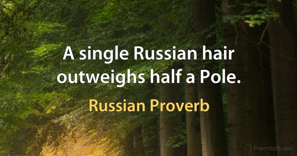 A single Russian hair outweighs half a Pole. (Russian Proverb)