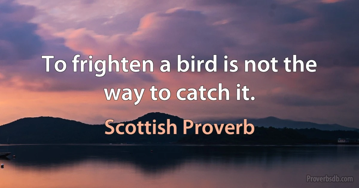 To frighten a bird is not the way to catch it. (Scottish Proverb)