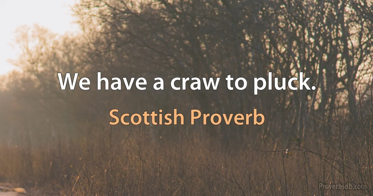 We have a craw to pluck. (Scottish Proverb)