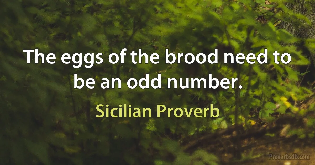 The eggs of the brood need to be an odd number. (Sicilian Proverb)