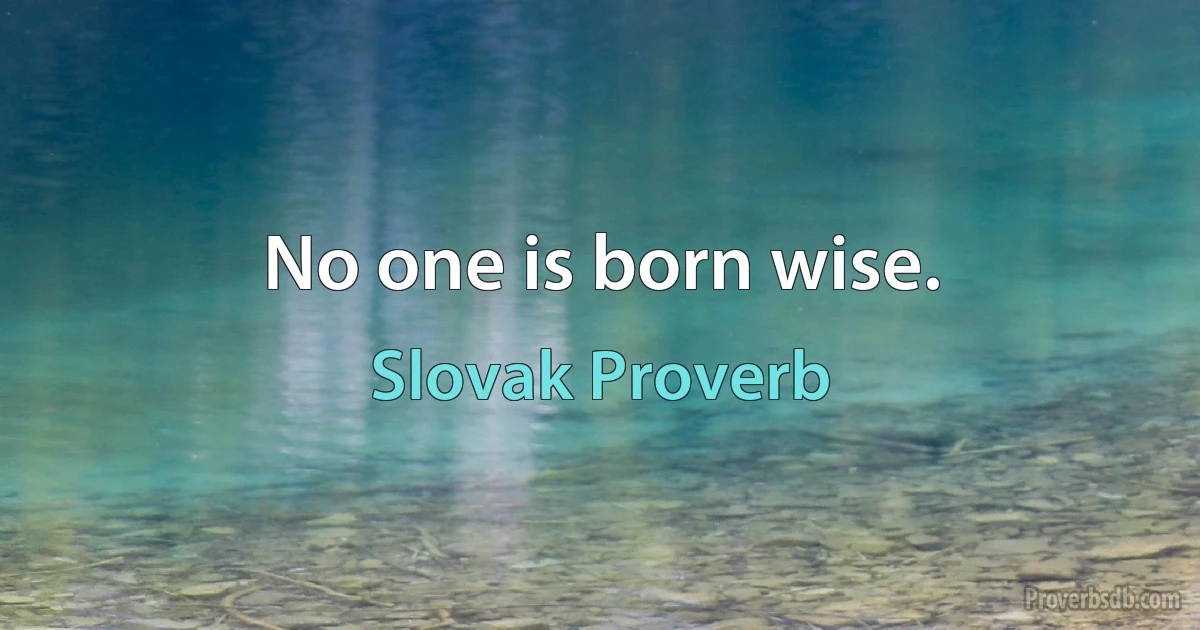 No one is born wise. (Slovak Proverb)