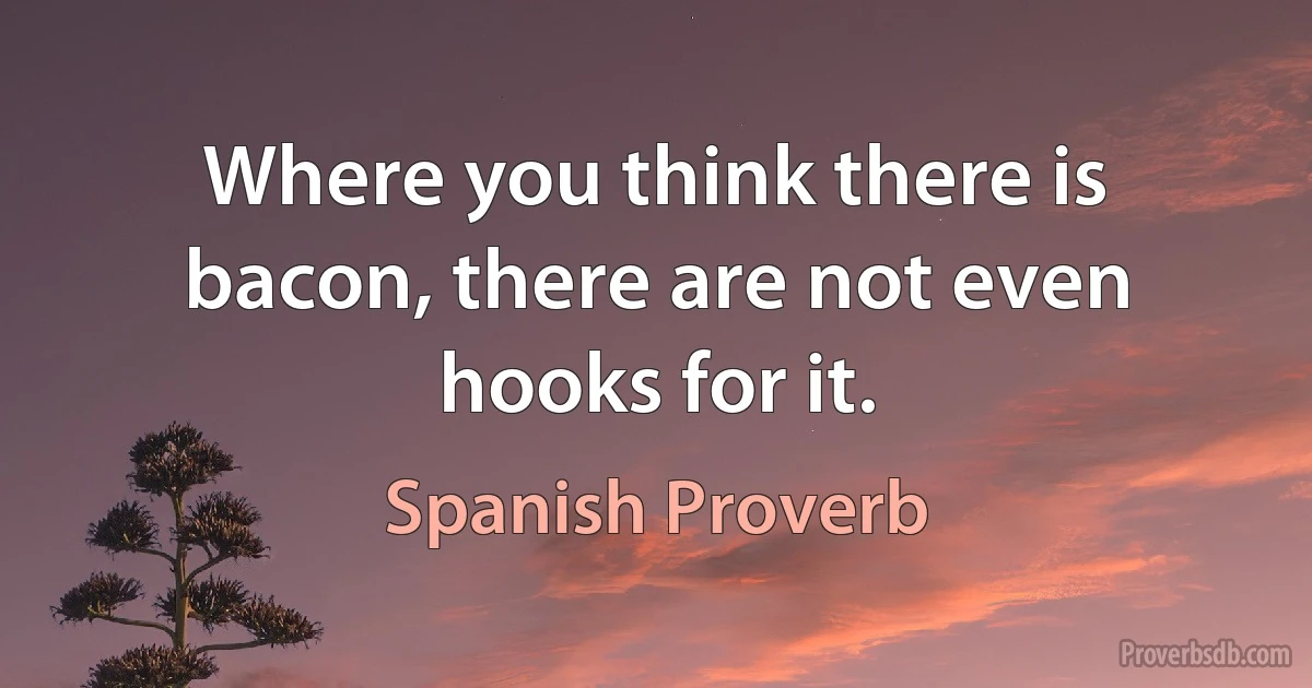 Where you think there is bacon, there are not even hooks for it. (Spanish Proverb)