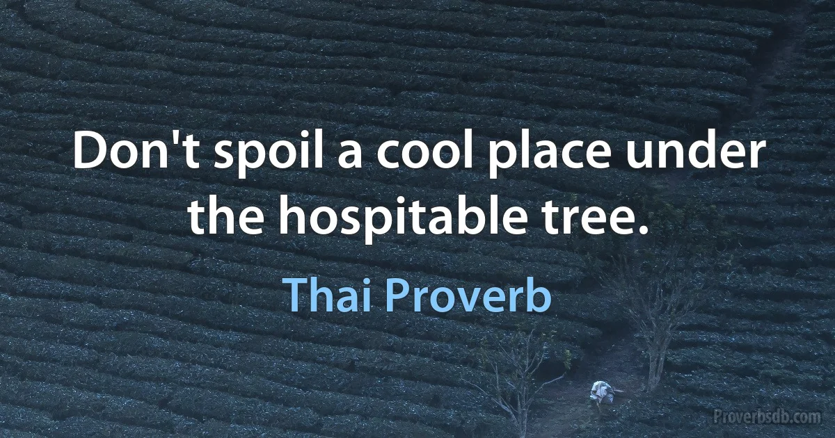 Don't spoil a cool place under the hospitable tree. (Thai Proverb)