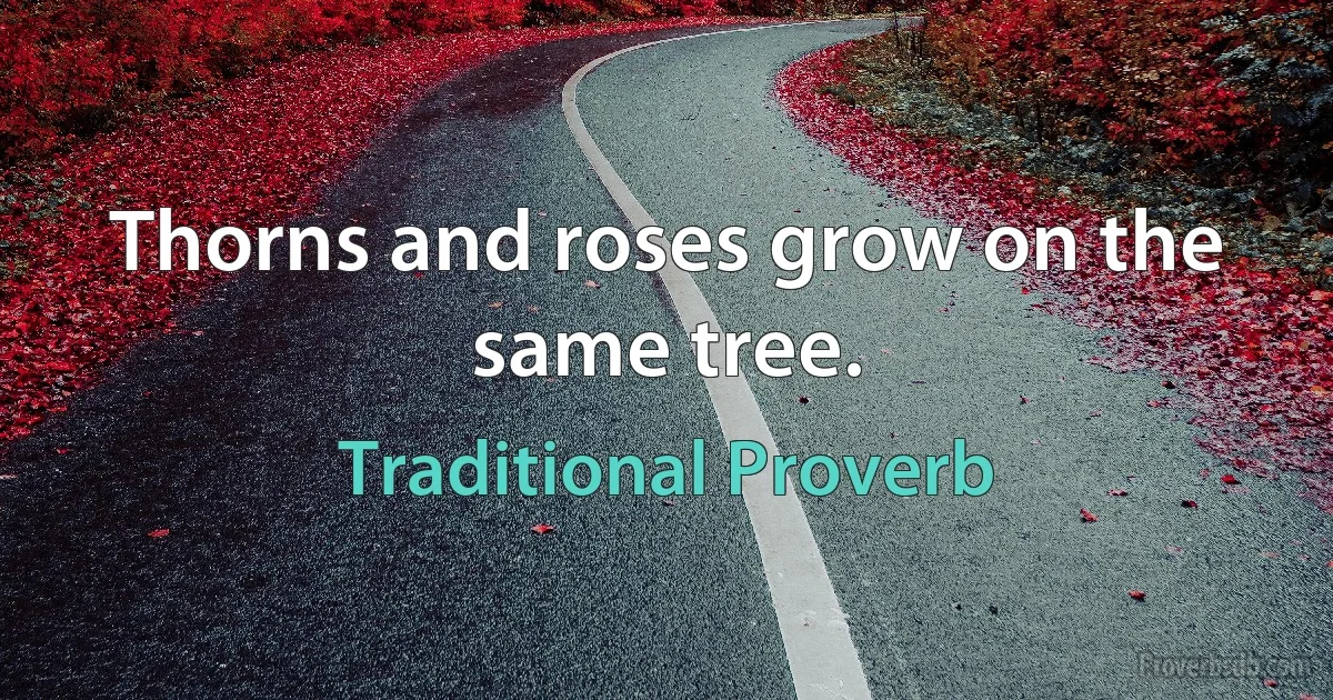 Thorns and roses grow on the same tree. (Traditional Proverb)