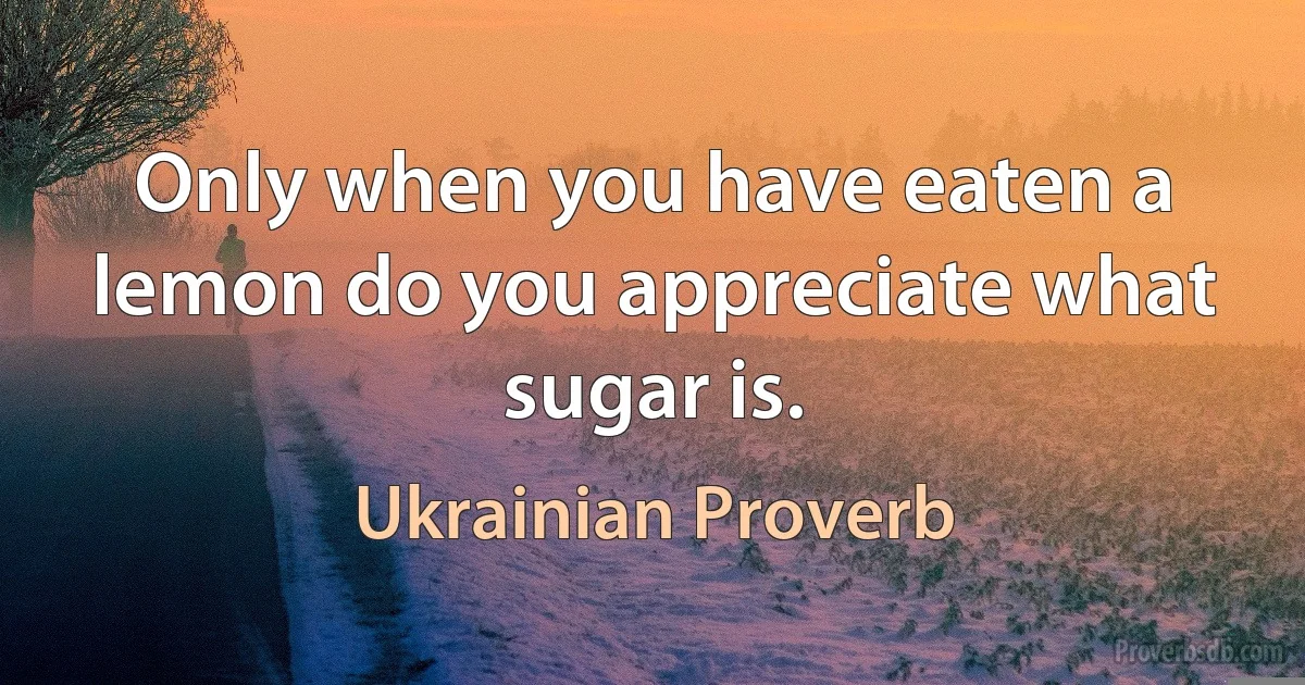 Only when you have eaten a lemon do you appreciate what sugar is. (Ukrainian Proverb)