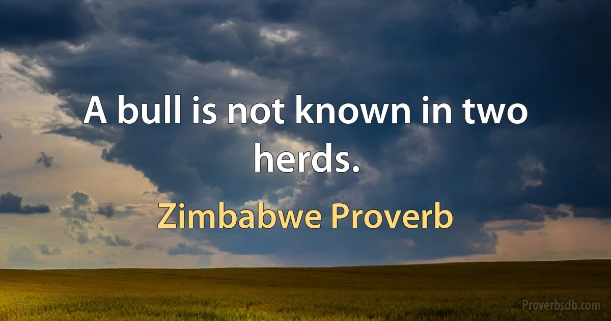 A bull is not known in two herds. (Zimbabwe Proverb)