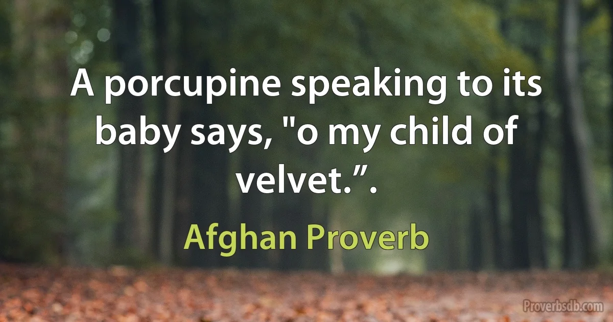 A porcupine speaking to its baby says, "o my child of velvet.”. (Afghan Proverb)