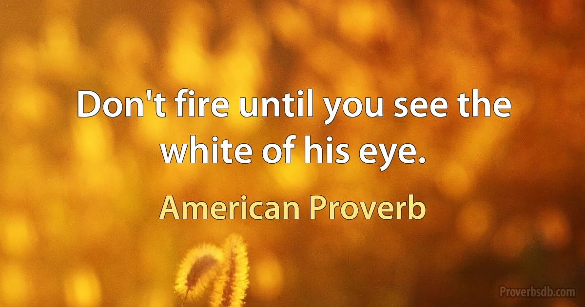 Don't fire until you see the white of his eye. (American Proverb)