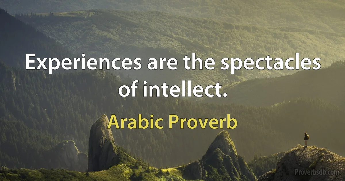 Experiences are the spectacles of intellect. (Arabic Proverb)