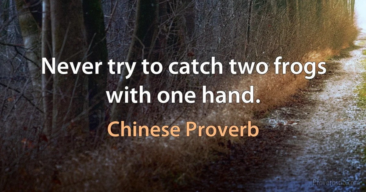 Never try to catch two frogs with one hand. (Chinese Proverb)