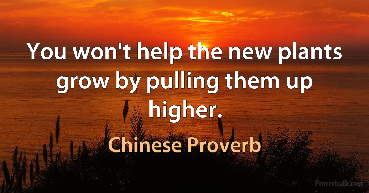 You won't help the new plants grow by pulling them up higher. (Chinese Proverb)