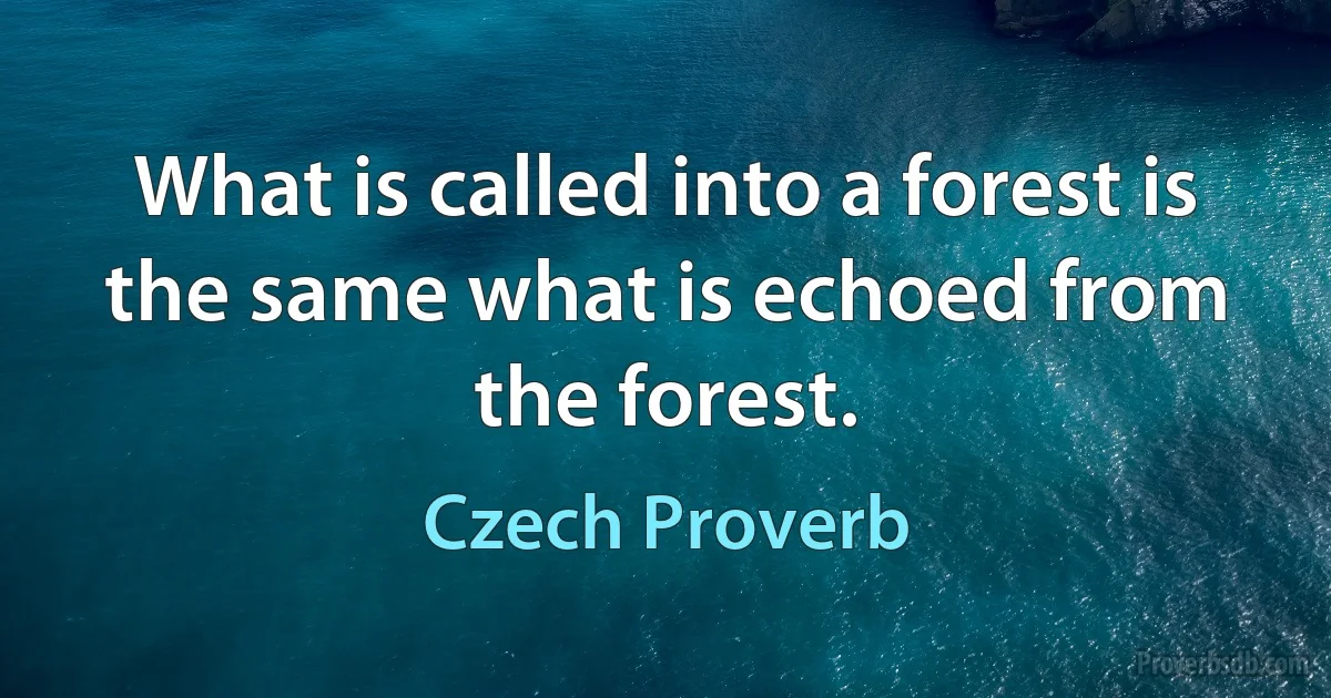 What is called into a forest is the same what is echoed from the forest. (Czech Proverb)