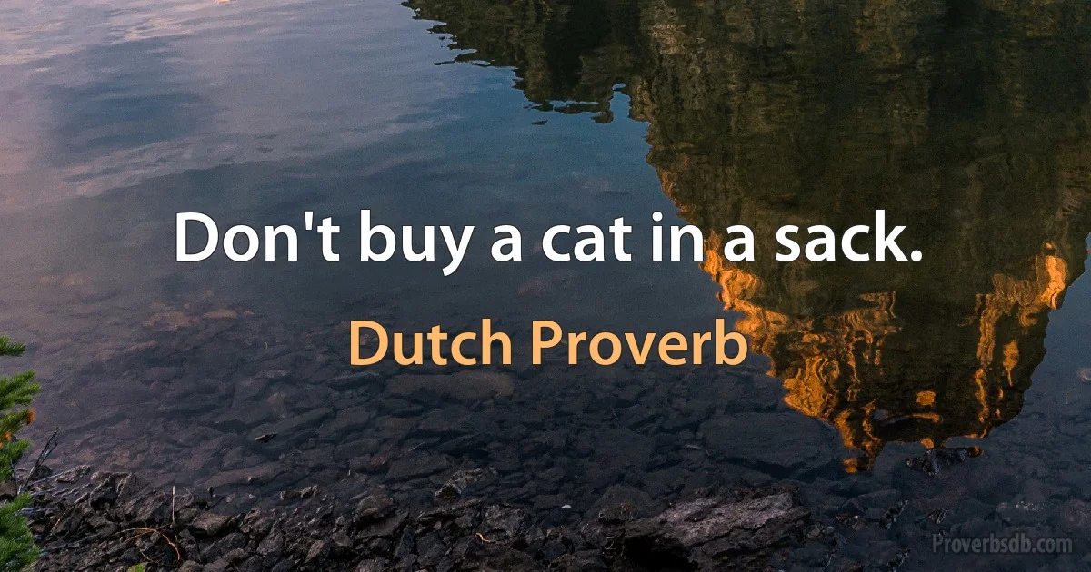 Don't buy a cat in a sack. (Dutch Proverb)